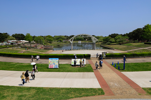 1-ひたち海浜公園.jpg