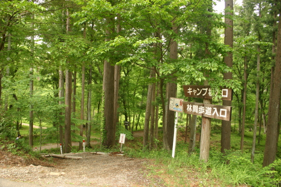水林自然林入り口１.JPG